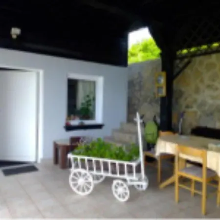 House David *