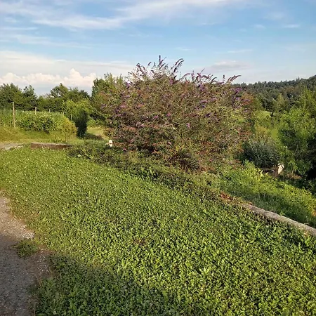 Holiday home House David Ljubljana