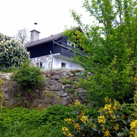 House David *