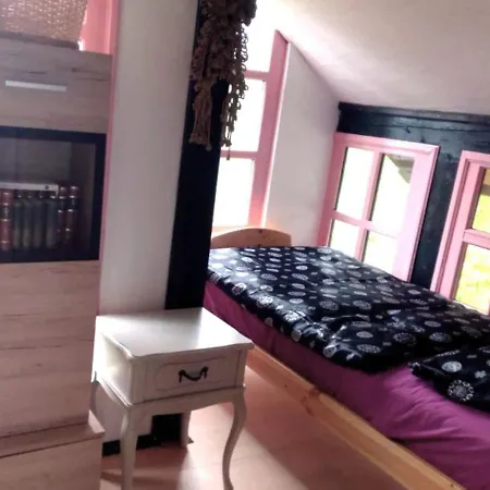 Tatil Evi House David *