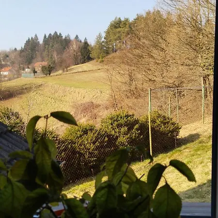 Hébergement de vacances House David *