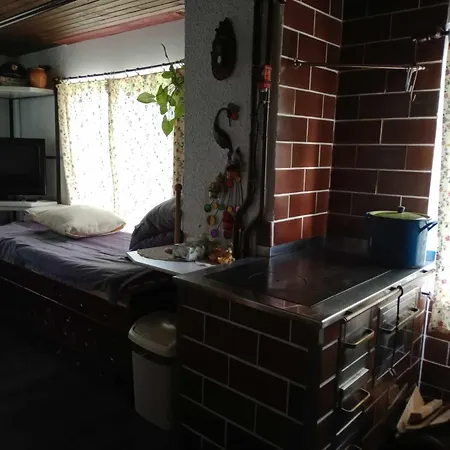 Vakantiehuis House David Ljubljana