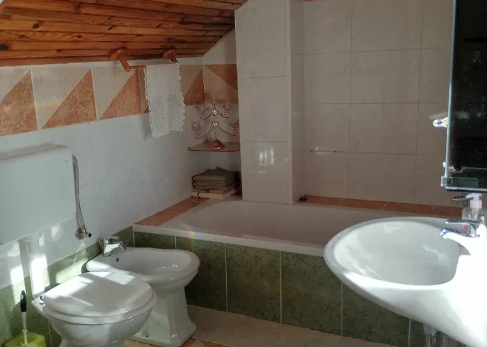 House David * Lublaň